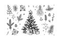 Set of hand drawn decorated Christmas tree, plant branches, cones and berries isolated on white background. Christmas decoration Royalty Free Stock Photo