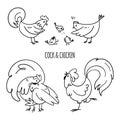 Set of hand-drawn domestic rooster and hen. Cute drawn chicken family with little chickens isolated on white background. Vector Royalty Free Stock Photo