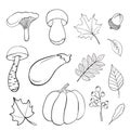 Set of hand drawn doodle elements about autumn. Mushrooms, leaves, pumpkin, eggplant, acorn. outline vector drawing Royalty Free Stock Photo