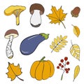 Set of hand drawn doodle elements about autumn. Mushrooms, leaves, pumpkin, eggplant, acorn. vector drawing Royalty Free Stock Photo