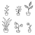 Set of hand drawn doodle flowers in pots, home plants. Royalty Free Stock Photo