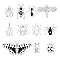 Set hand-drawn doodle insects