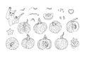 Set of Hand drawn doodle monochrome pumpkins clipart