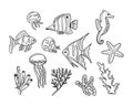 Set of hand drawn doodle sea fish and creatures