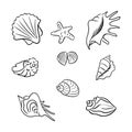 Set of hand drawn doodle seashells Royalty Free Stock Photo