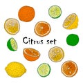 Set of hand drawn Doodle style elements. Vector color illustration with lemons, oranges and limes. Slices, halves and whole citrus