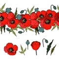 Set of Hand drawn elements of red Poppies and flower brush ,Vector Royalty Free Stock Photo