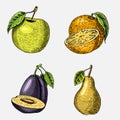 Set of hand drawn, engraved fresh fruits, vegetarian food, plants, vintage looking green apple, orange and pear, plum. Royalty Free Stock Photo