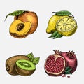 Set of hand drawn, engraved fresh fruits, vegetarian food, plants, vintage looking kiwi, peach yellow lemon and Royalty Free Stock Photo