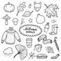 Hand drawn autumn doodles