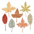 Set of hand drawn fall leaves, autumn symbols Royalty Free Stock Photo