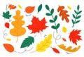 Set of hand drawn fall leaves. Flat style autumn design elements Royalty Free Stock Photo