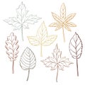 Set of hand drawn fall leaves, outlines