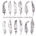 Set of hand drawn feathers for American Indian Dreamcatcher masc