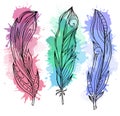 Set of hand drawn feathers with boho pattern Royalty Free Stock Photo