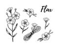 Set of Set of hand drawn flax flowers, branches and linen textile elements. Vector illustration in sketch style for linen seeds Royalty Free Stock Photo