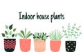 Set of hand drawn flower pots with quote: Indoor house plants. - vector Royalty Free Stock Photo