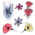 set of hand drawn flower sketches, vector illustration