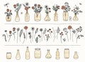 Set of hand drawn flowers and gold patterned vases