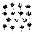 Set of hand drawn flowers. Grunge style ink paint elements for design. Black isolated vector on white background Royalty Free Stock Photo