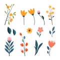 set of hand drawn flowers and leaves vector illustration in flat style Royalty Free Stock Photo