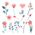 set of hand drawn flowers and plants vector illustration in flat style Royalty Free Stock Photo