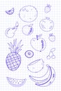 Set of hand drawn fruits and berries outline image on notebook page background. Doodle Icons vector illustration. Design Royalty Free Stock Photo