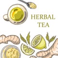 Set of hand drawn ginger tea elements Royalty Free Stock Photo