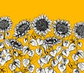 Set of hand drawn Graphic sunflower vintage sketch line