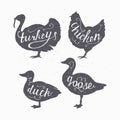 Set of hand drawn hipster style farm birds Royalty Free Stock Photo