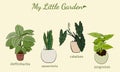 Set of hand drawn house plants in pots