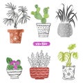 Set of hand drawn house plants in the pots isolated on white