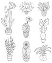 Set of hand drawn houseplant