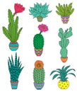 Set of hand drawn houseplant