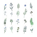 Set of hand drawn illustrations of green leaves, herbs and branches. esign elements. Perfect for Royalty Free Stock Photo