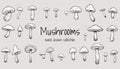 Set of hand drawn illustrations of various mushrooms champignons, fly agarics, white mushroom, oyster mushrooms. Perfect for Royalty Free Stock Photo