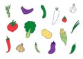 Set of hand-drawn illustrations of vegetables