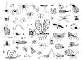 Set of Hand Drawn Insects or Small Animals Sketch Illustration Royalty Free Stock Photo