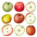 Set of hand drawn isolated apples illustration