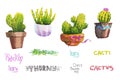 Set of hand drawn isolated cactus in pots. Watercolour illustration set of houseplants