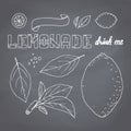 Set of hand drawn lemonade ingredients on chalkboard. Dodle lemon, leves, icons, logo templates and lettering