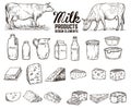 Set of hand drawn milk products design elements. butter, cheese, sour cream, yogurt, cows. For package, poster, sign, banner,