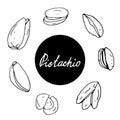 Set of hand drawn nuts. Black outline pistachio isolated white background. Collection