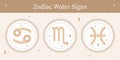 Vector set of ornate zodiac water signs