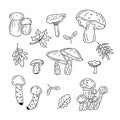 Set of hand drawn outline autumn mushrooms doodles