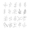 Set hand drawn outline leaves. Black line doodle floral for invitations, greeting cards, banners.