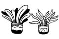 Set of hand drawn in pots illustrations, houseplants in doodle style. Vector illustration. Isolated outline graphic Royalty Free Stock Photo