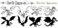 Set with hand drawn realistic detailed dragons and silhouettes on white