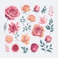 Set of hand drawn roses and leaves Royalty Free Stock Photo