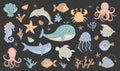 Set with hand drawn sea life elements.